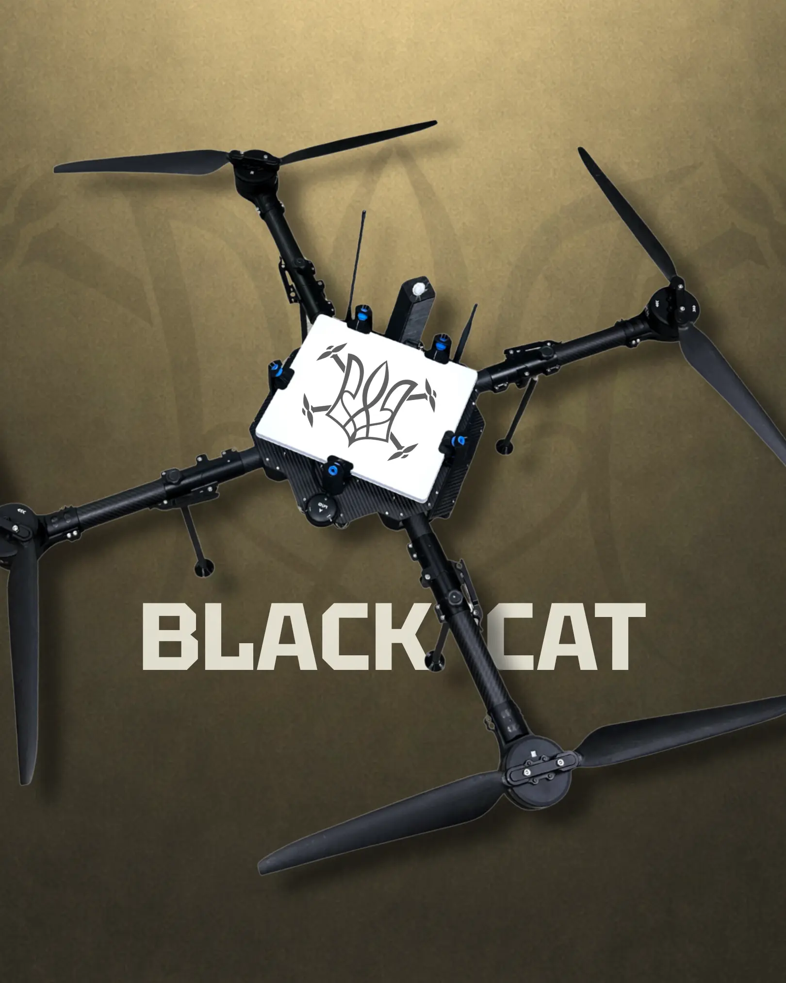 Black Cat